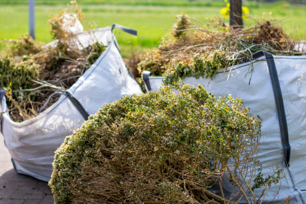 Best Yard Waste Removal  in Zimmerman, MN