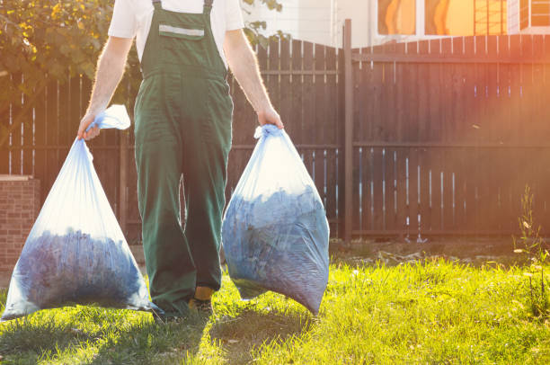 Best Same-Day Junk Removal  in Zimmerman, MN